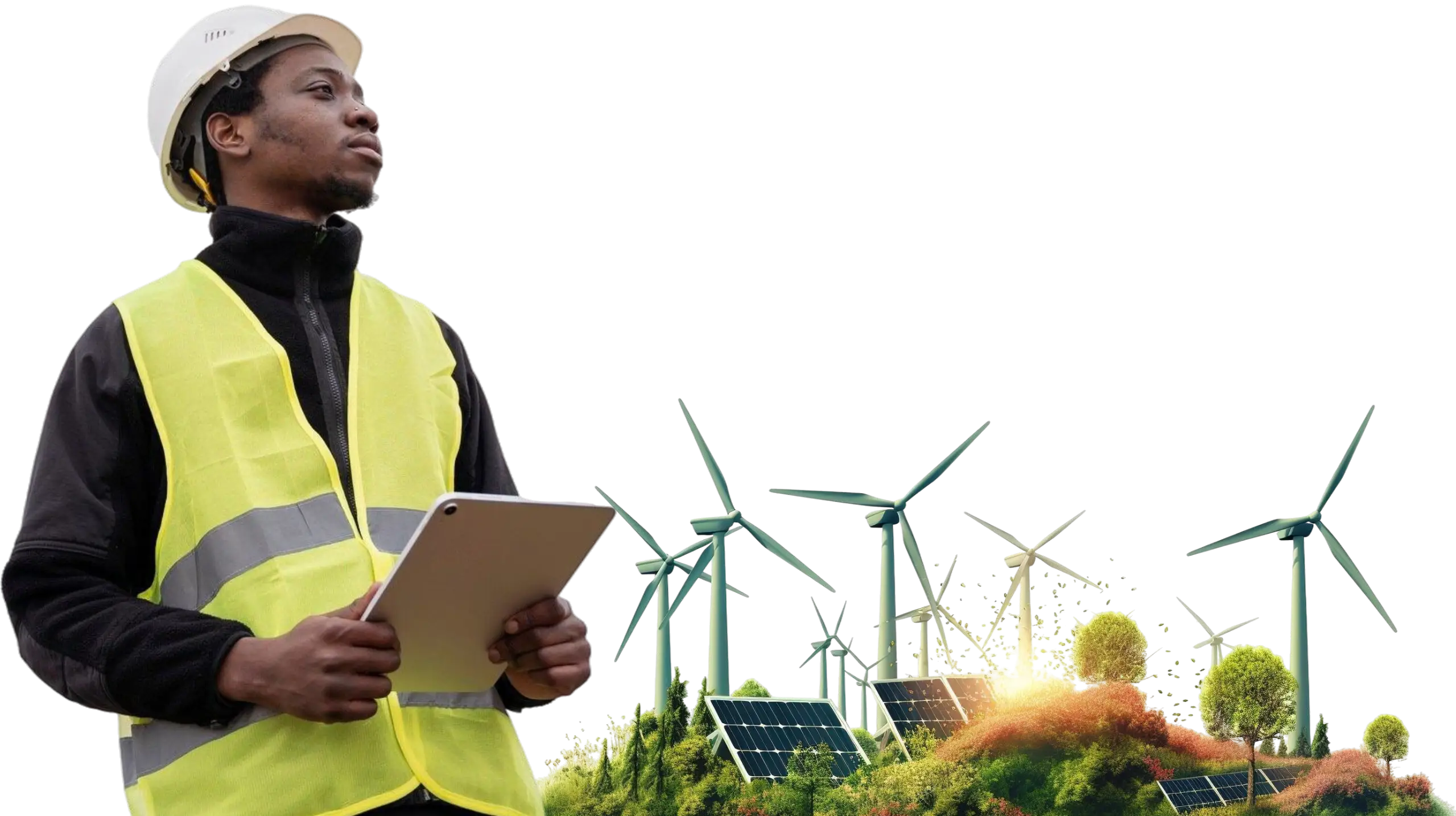 ZARENA renewable energy professional